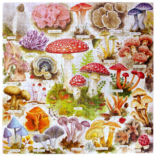 Bountiful Mushrooms 1000 brikker puslespil fra eeBoo