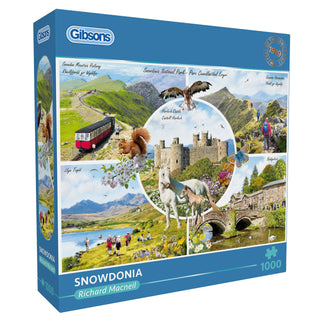 Snowdonia 1000 brikker Gibson