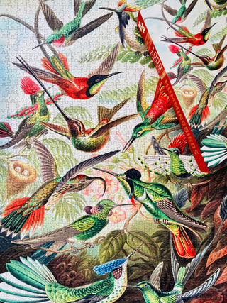 Hummingbirds 1000 brikker vintage puslespil fra Penny Puzzle