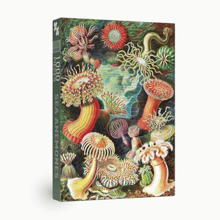 Sea Anemones 1000 brikker vintage puslespil fra Penny Puzzle