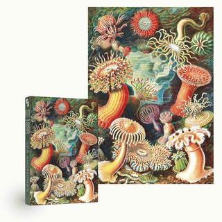 Sea Anemones 1000 brikker vintage puslespil fra Penny Puzzle