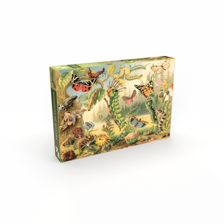 Wonders of Nature 1000 brikker puslespil fra Penny Puzzle