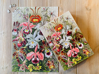Orchids 500 brikker vintage puslespil fra Penny Puzzle.
