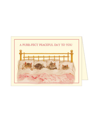 A Purrfect Peaceful Day To You kattekort m/ glimmer